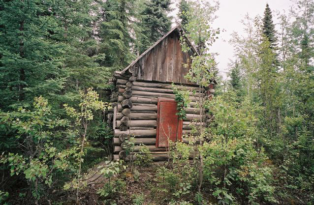 Alsaka Forest tiny house